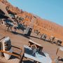 أفراح النذير 🇸🇦