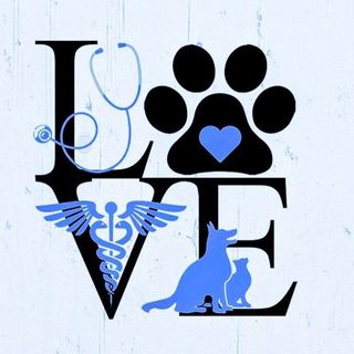 Dr Vet Khawla🐾🩺