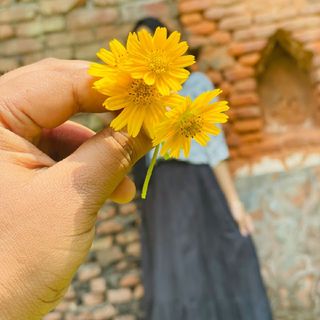 Sumu