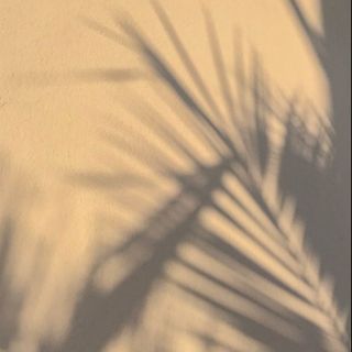 ✨️