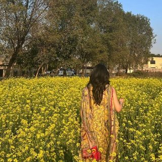 Kriti