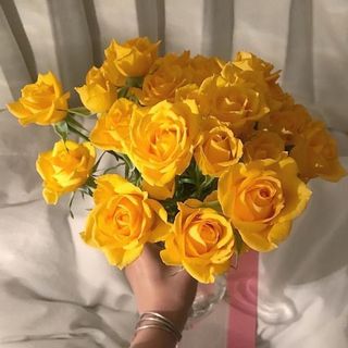 عُلا صادق 🕊💕