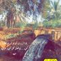 زياد عبدالرحمن