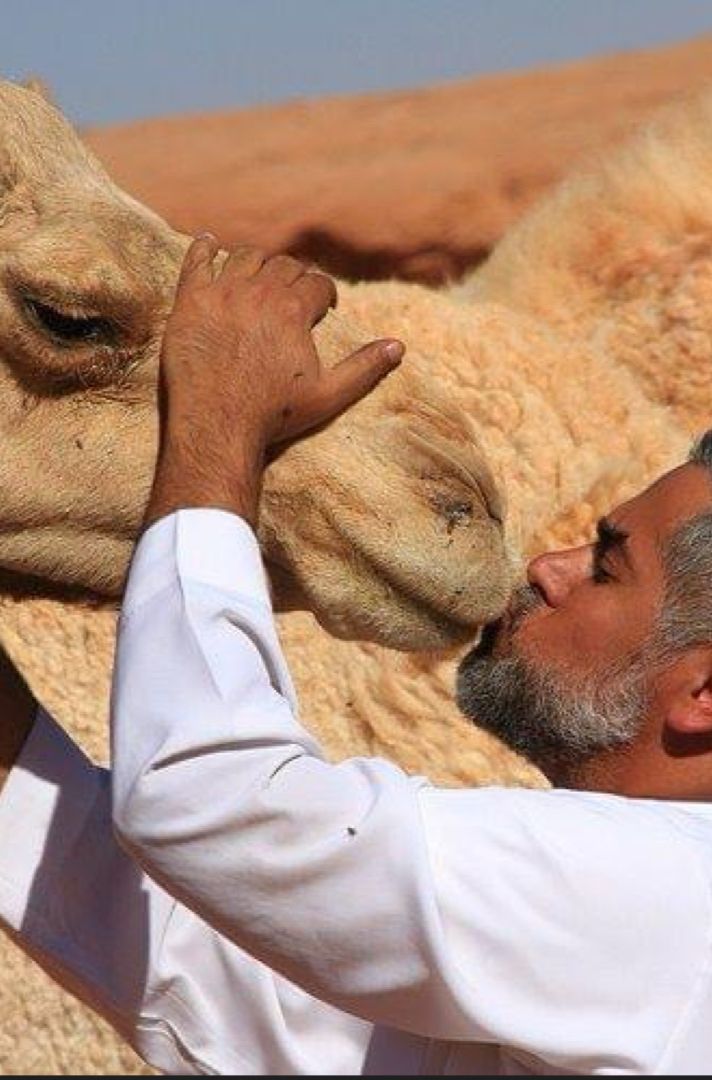 فهد الرشيدي