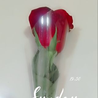 💕💕🦋