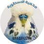 الاسطورة للبادجي ابو احمد