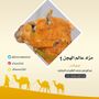 سناب عالم الهجن