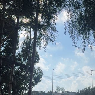 صدى الجنوب 🎖️