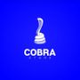 Cobra Store