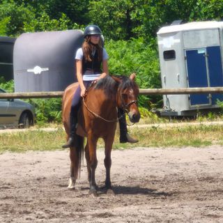 🐎 🍃 Léa 🍃🐎