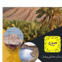 صدى بيشه 📸⭐️