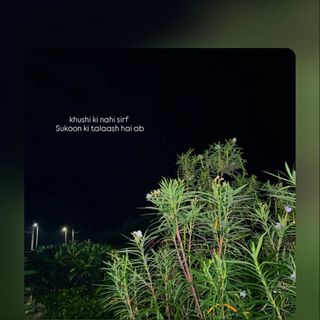 S.Saif