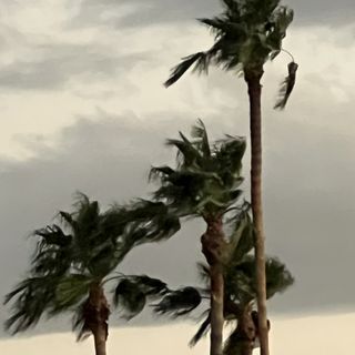Sinai