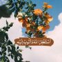 تە نیای ئیسلام