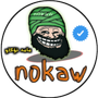 Profile picture for n0kaw