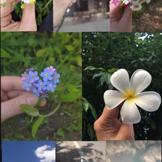 💞Sukoon💞