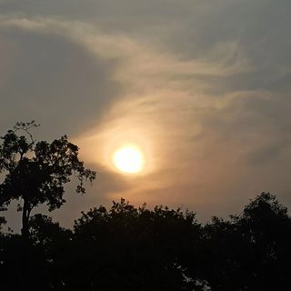 puja rajput