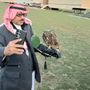 احمد الشريف