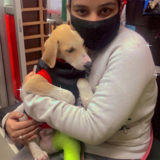 Simran Kaur ❤