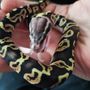 ❤️ Happy Life ❤️