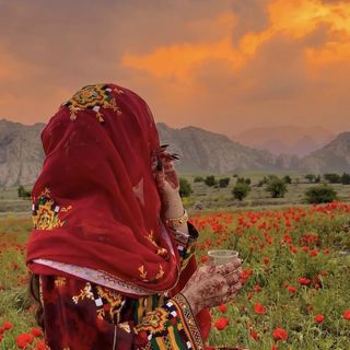 ⚜️زھری⚜️