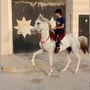 محمد بن سهل  𓅔⁵ .