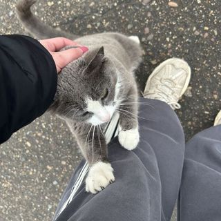 ʜᴇʀᴜ