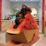 watermelon🍉