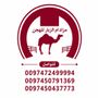 🇶🇦مزاد ام الزبار للهجن 🇶🇦