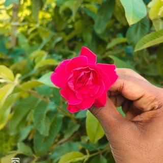 Abhi❤️