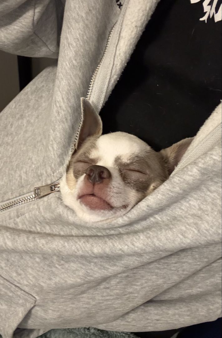 Aqababe
