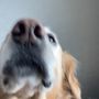 Snapchat profile picture for @thrilling