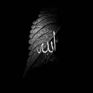 Islamic hub