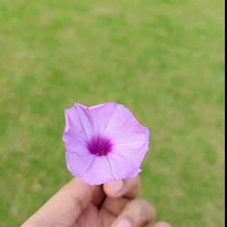 Ｎｉｓｈａｎｔ🥀🖤