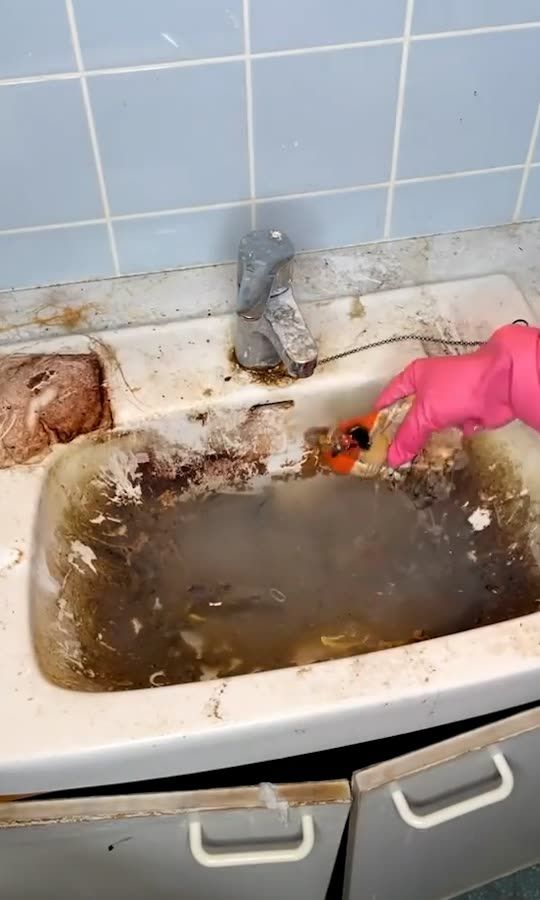 The most disgusting kitchen sinks