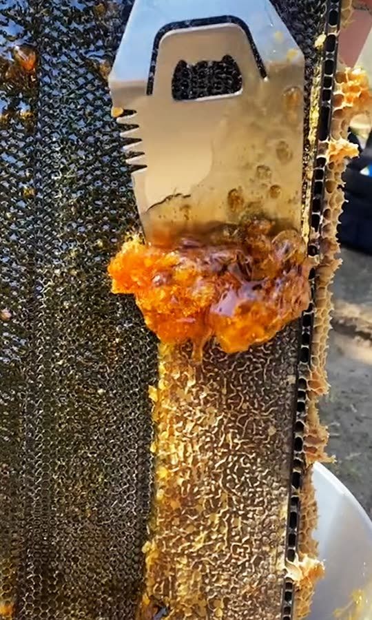 Satisfying Honey Scraping ASMR 🍯