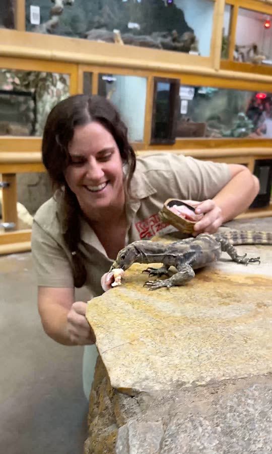 The Reptile Zoo Snapchat