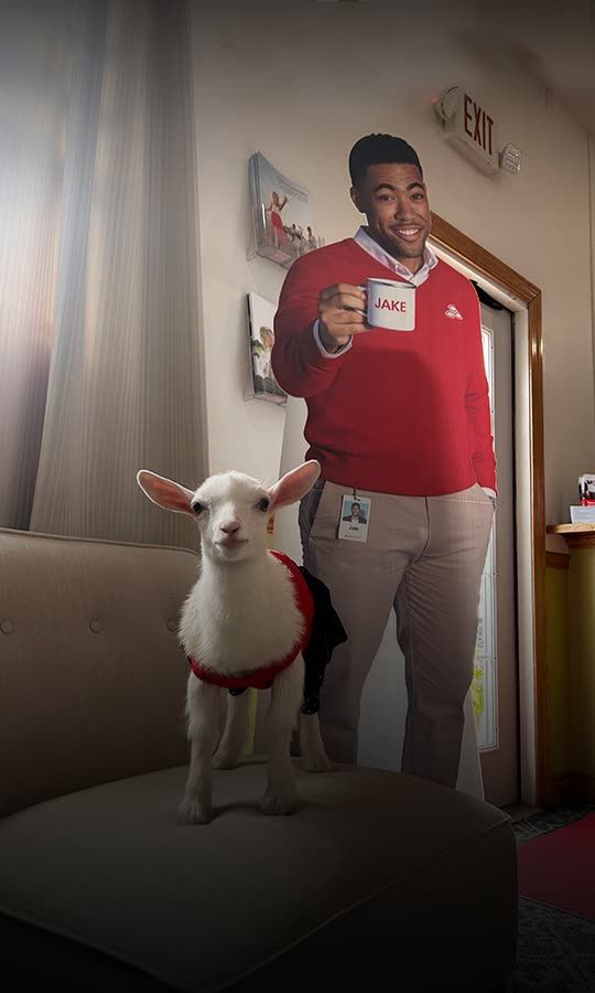 This Goat Is Your New Insurance Rep