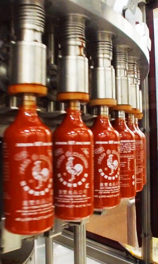 How Sriracha Hot Sauce Is Made