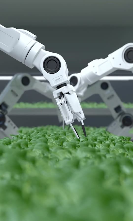 Robots doing jobs too dangerous for humans