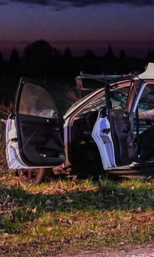 Baum zerteilt Auto: Drei Tote bei Horror-Unfall