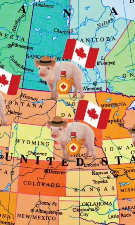 Canadian "Super Pigs" invade the U.S.