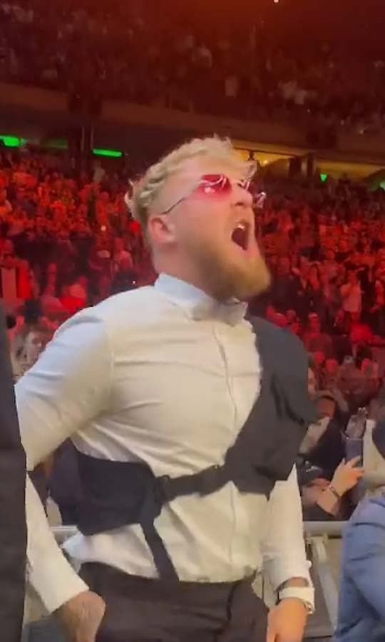 Jake Paul was all of us watching this epic fight 😯