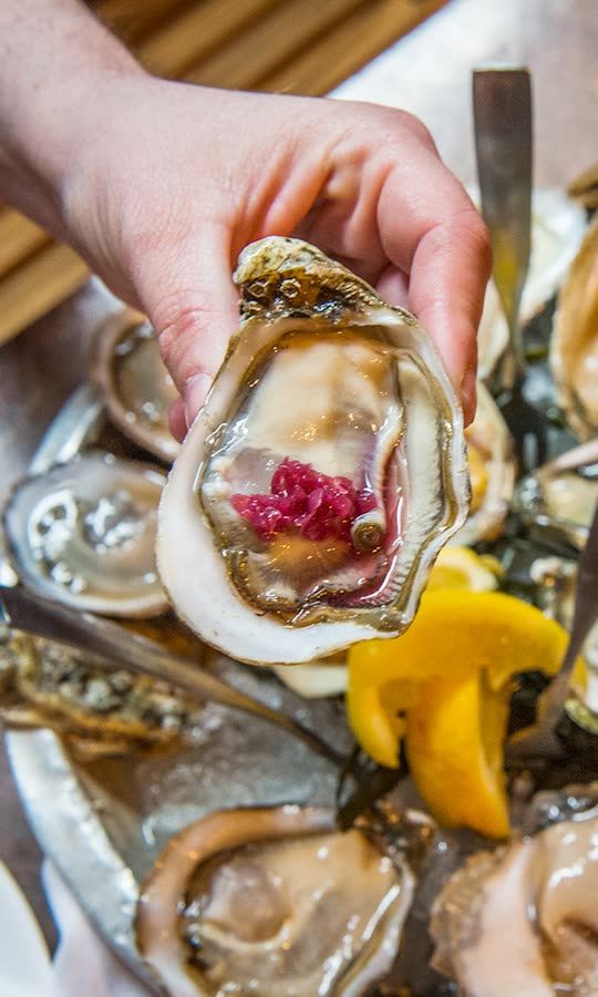 Where To Go For The Freshest Oysters 🦪