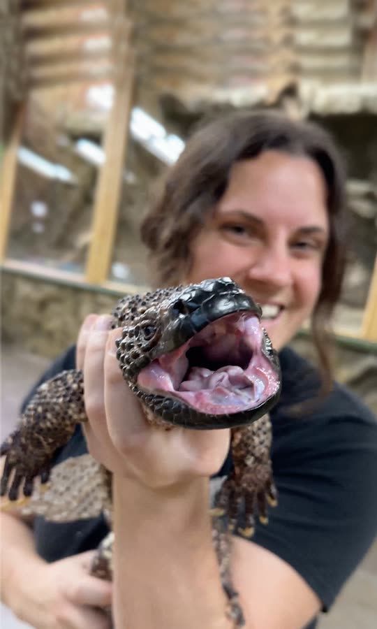 The Reptile Zoo Snapchat