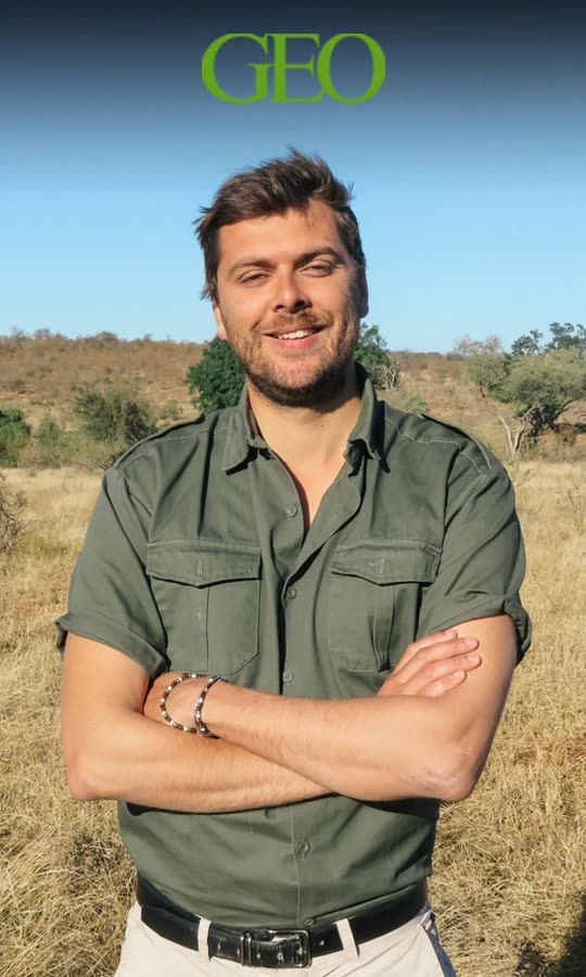 De journaliste à guide de safari