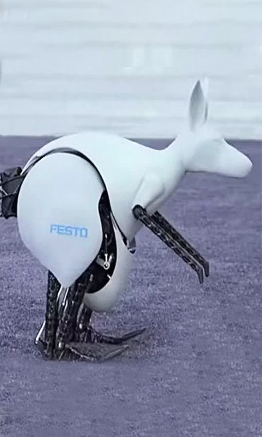 Robotics Kangaroo