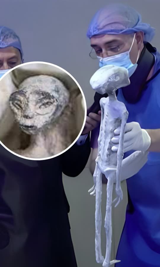 Lab Results Say Alien Corpses Not A Hoax