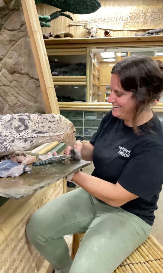 The Reptile Zoo Snapchat