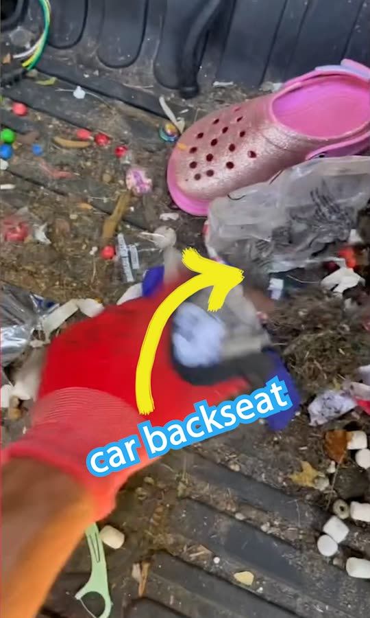 Tesla hasn't been washed in 10 yrs